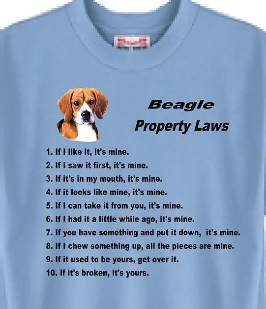 

Beagle Dog T Shirt Men Women - Beagle Property Laws - Adopt Rescue