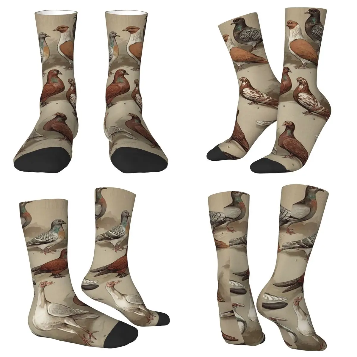 All Seasons Crew Stockings Pigeon Breeds Chart Socks Funny Long Socks for Men Women Valentine's Day Gifts