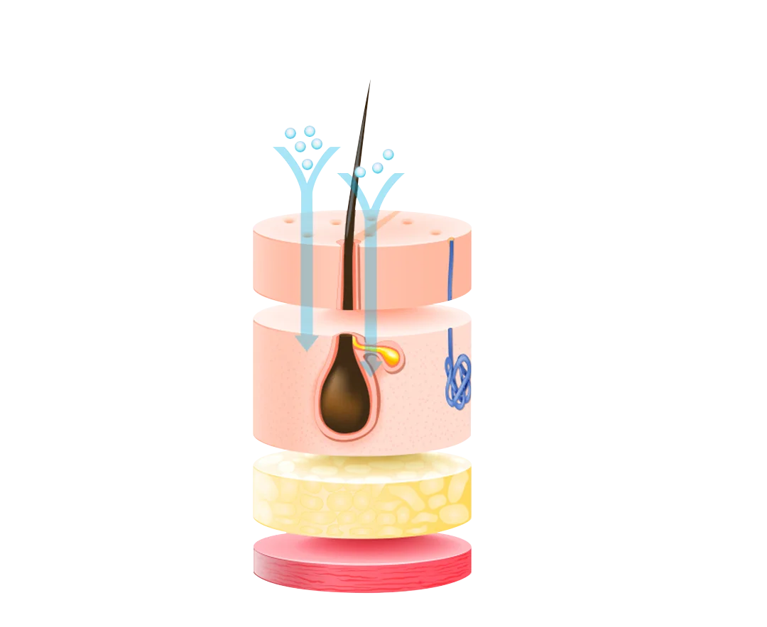 

Твои волосы очень красивы.