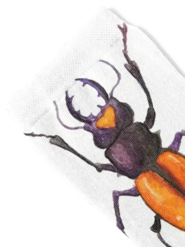 Entomology (white) Socks cycling man short anti-slip Socks Woman Men's