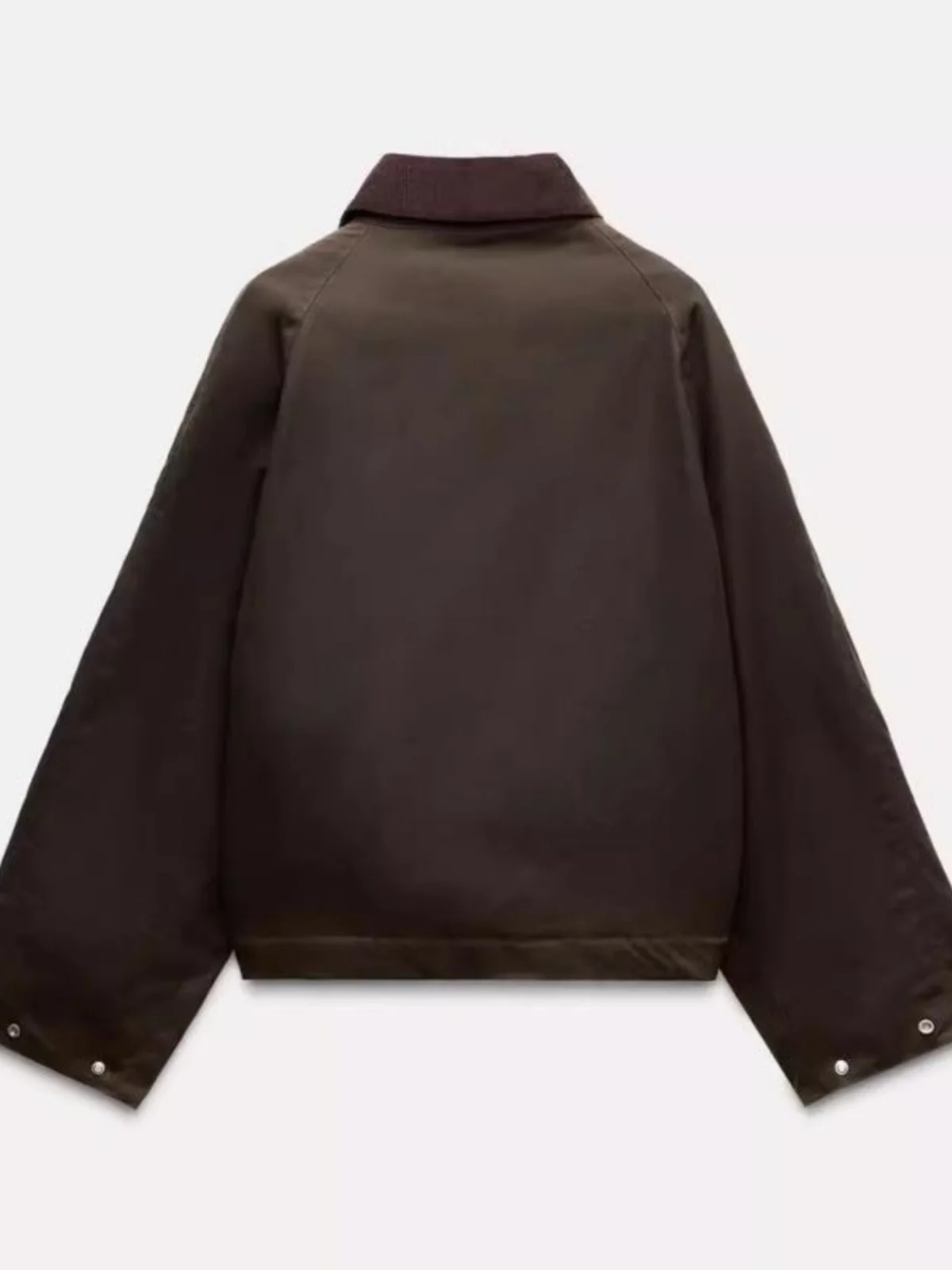 เสื้อโค้ทกำมะหยี่ทรงหลวมสำหรับผู้หญิง คอลเลคชั่นใหม่ ฤดูใบไม้ผลิ/ฤดูใบไม้ร่วง ปกคลาสสิก แขนยาว ความยาวปกติ ติดกระดุม