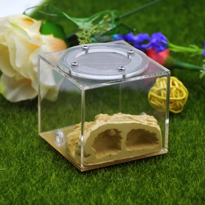 pocket Ecological ant nest DIY plaster rockery pet ant castle landscaping workshop home for ant