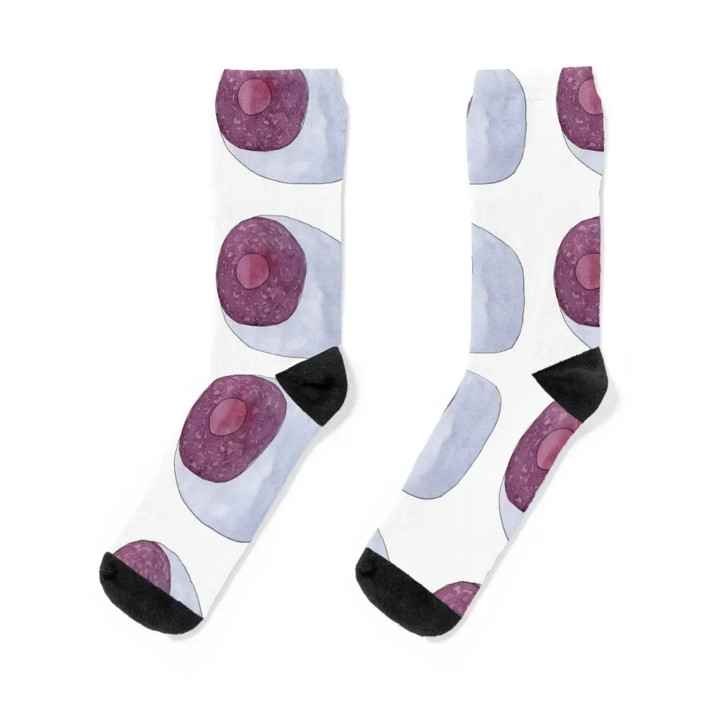 Plasma Blood Cell - Watercolour Art Socks new in's Christmas Novelties sport Designer Man Socks Women's