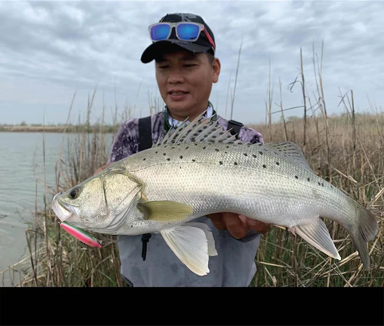 

BONE BONES TFA Tilting Mouth Vibrating Submersible Mino SGZ60S Lure Fake Bait Sea Bass Compact