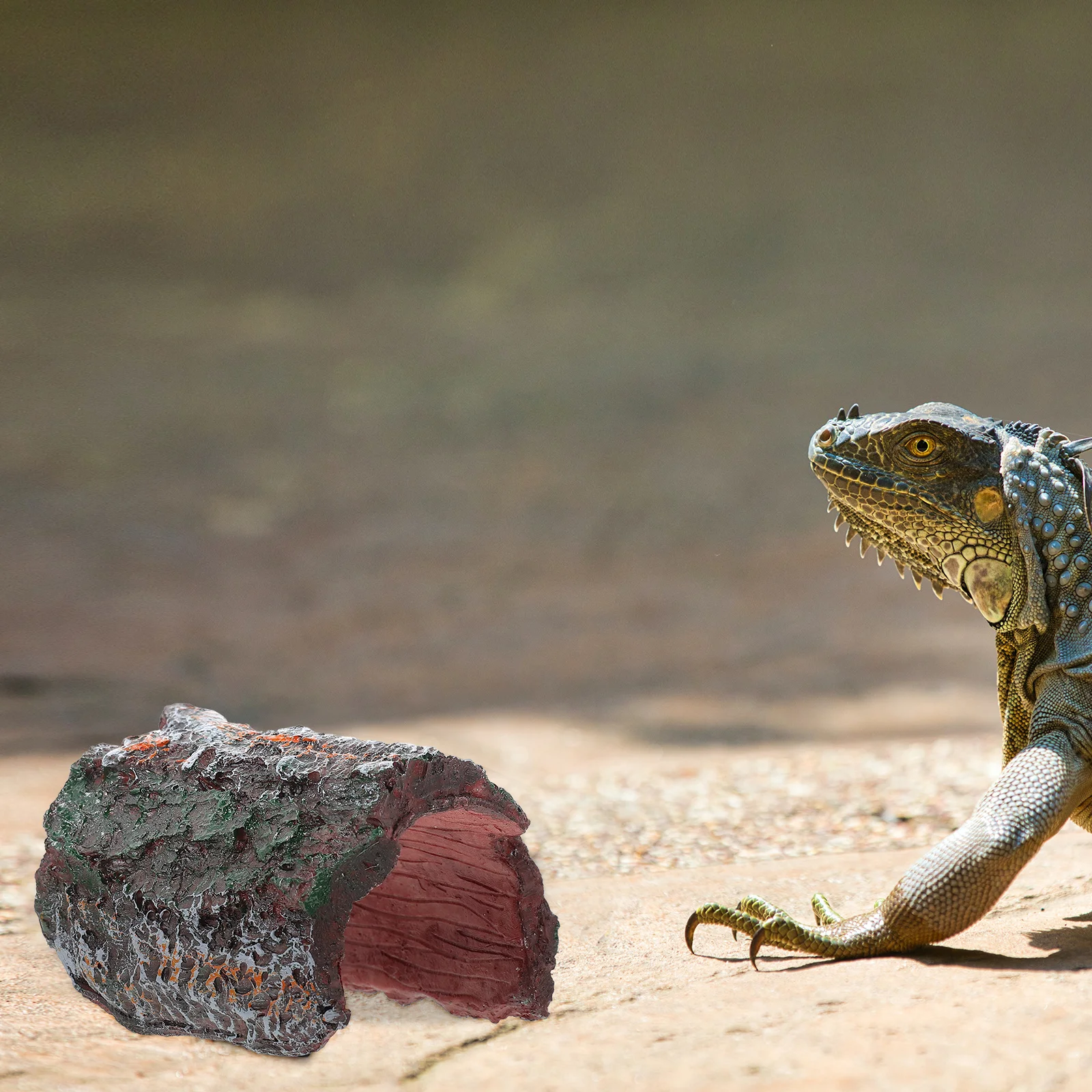

Lizard Hideout Habitat Terrarium Simulates Climbing Reptiles Platform Turtles Hidden Place Unique Landscape Ornament