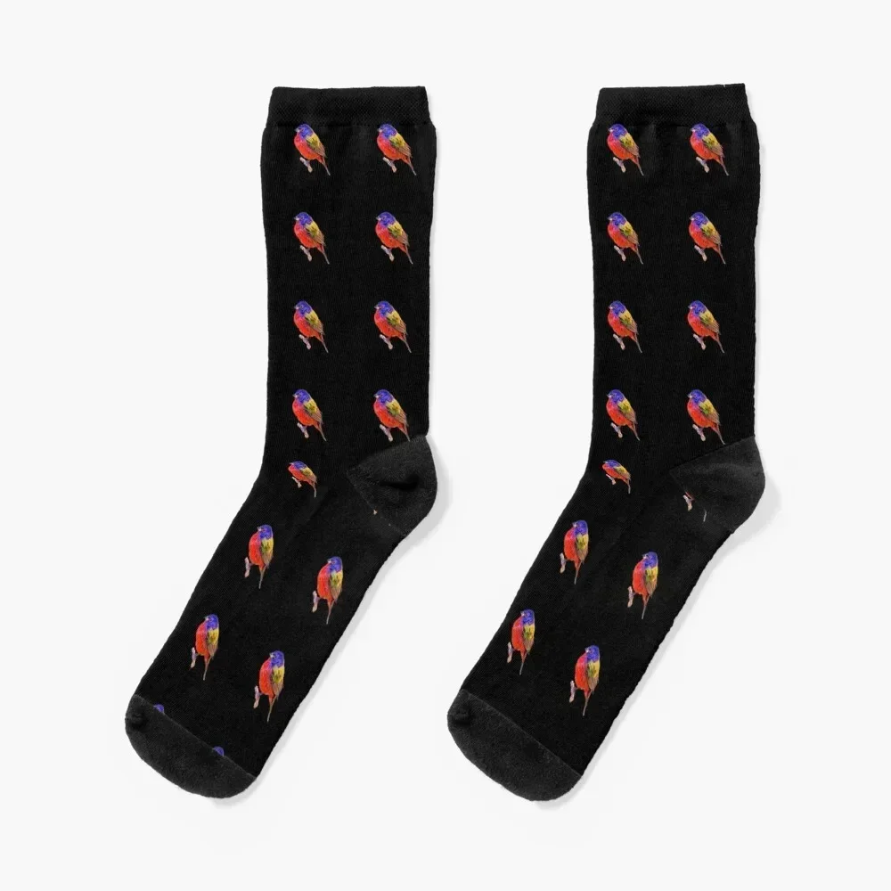 Male Painted Bunting Socks sport christmas stocking designer cool Men's Socks Luxury Women's