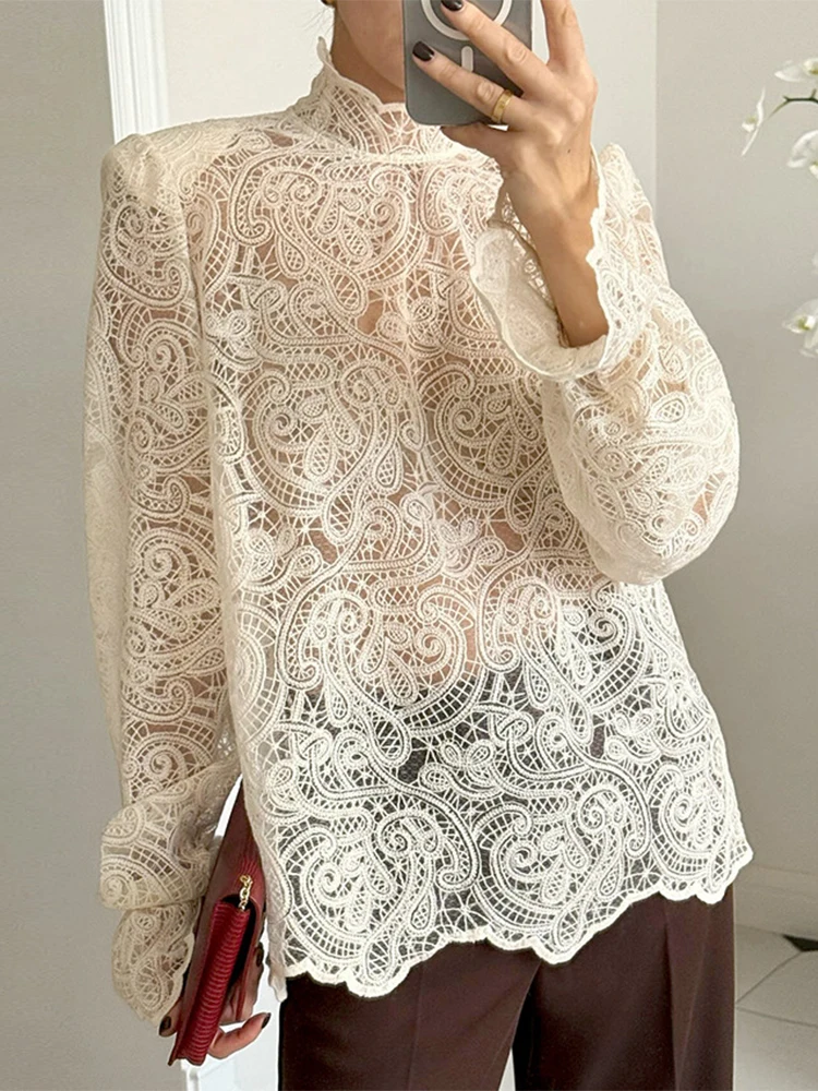 

Trendix Lace Hollow Out Pullover Top Women 2026 Elegant See Through Embroidery Blouse Turtleneck Slim Ruffle Long Sleeve Tshirt