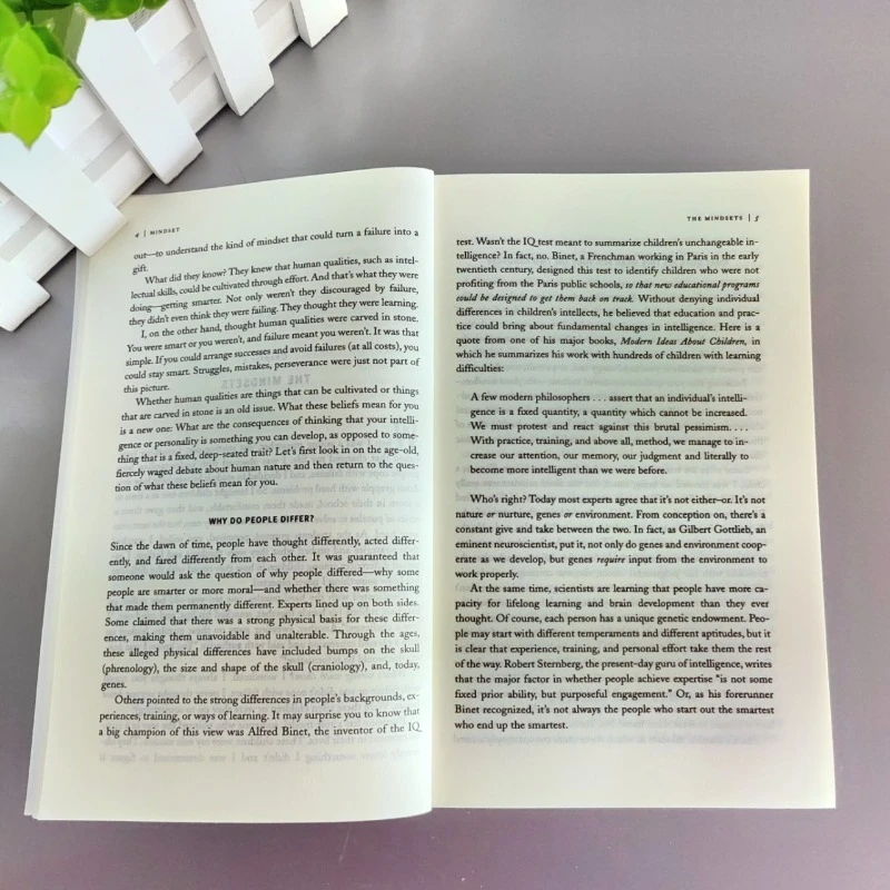 Mindset : la nouvelle psychologie du succès de Carol S.Dweck-Growth Mindset livre anglais pour l'auto-aide, le développement personnel et les affaires
