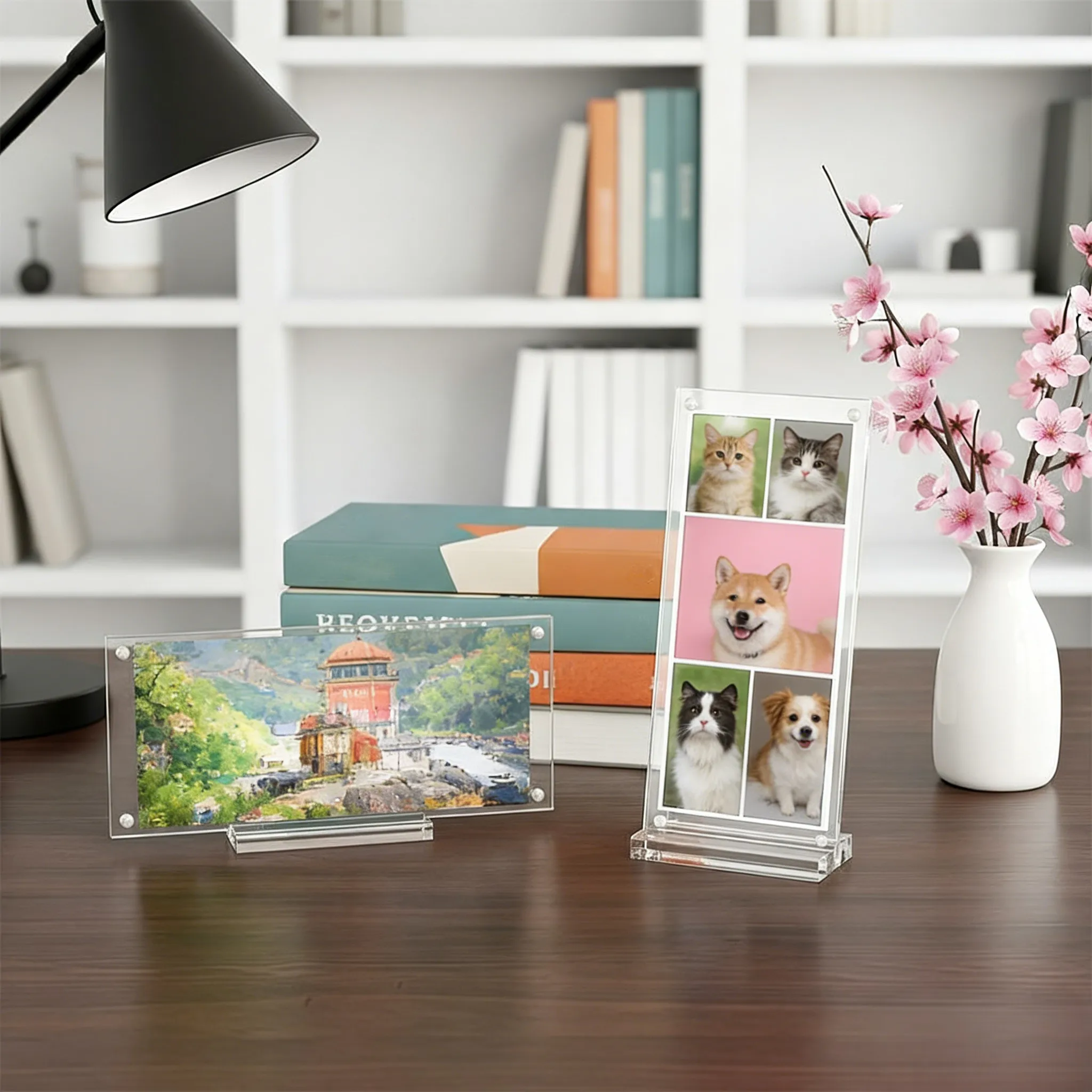 Two-Sided for acrylic Holder for Currency and Paper Collectibles Supporting Standard US Dollar Bills and Similar Sized Flat