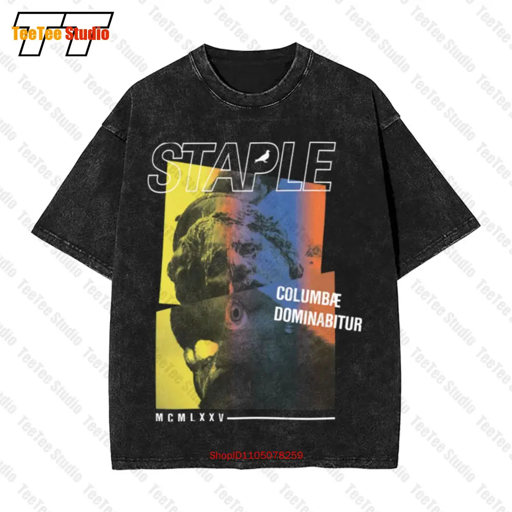 

Staple Pigeon Latin Vintage Oversized T-Shirt V1TY