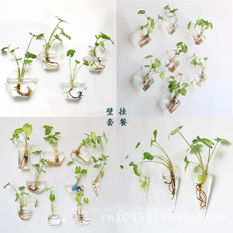

Creative Wall Hanging Vase Transparent Glass Hydroponic Flower Pot Home Decor Multi-purpose Semicircular & Hexagonal Shapes