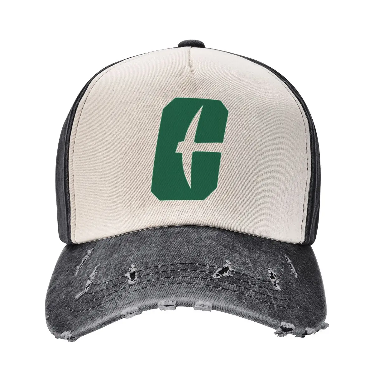 

The Charlotte Team Baseball Cap Christmas Hat sun caps Unique hats Men's Hats Women's