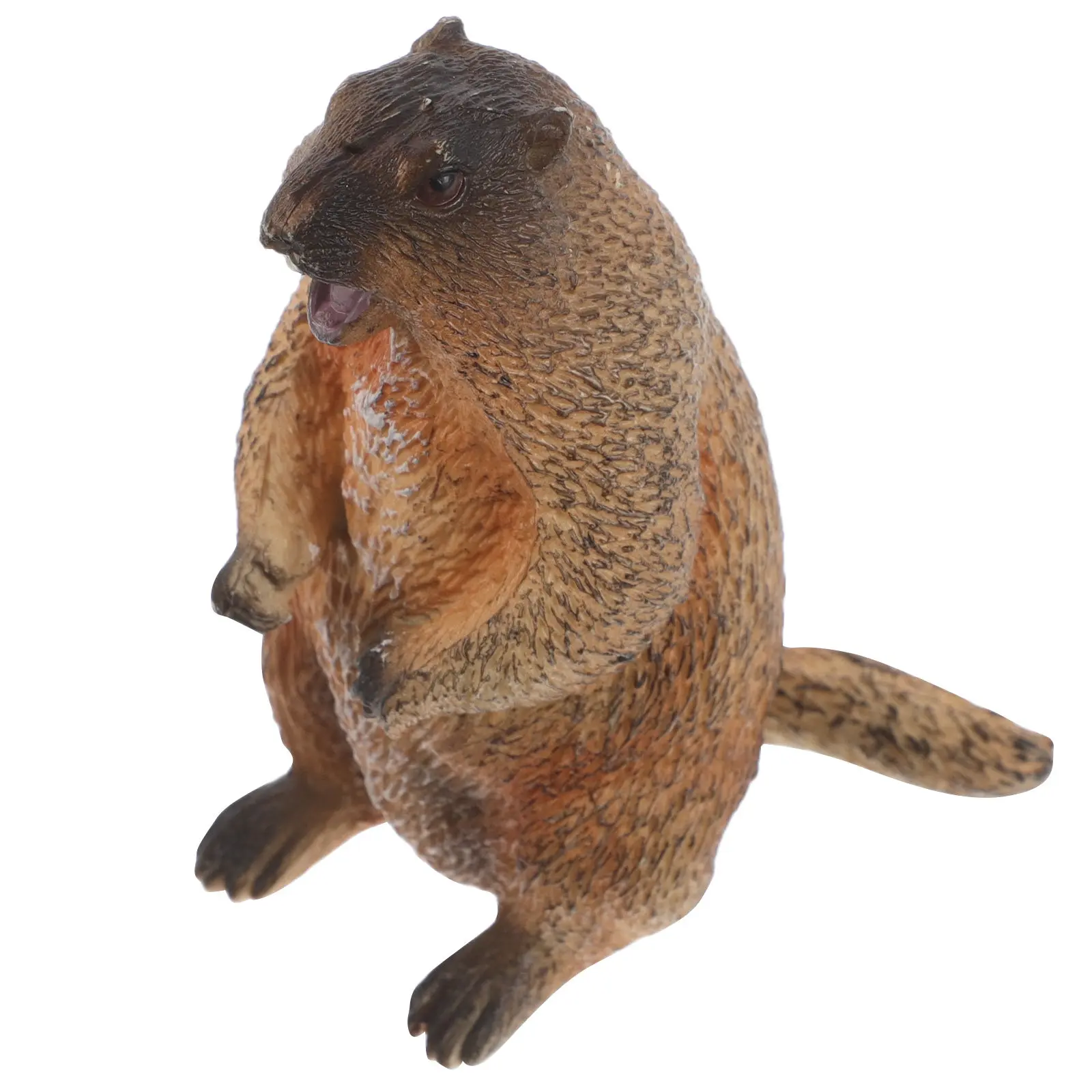 

Standing Groundhog Wild Animal Simulation Cognitive Educational Desktop Ornament Realistic Small Wildlife Decoration for Kids