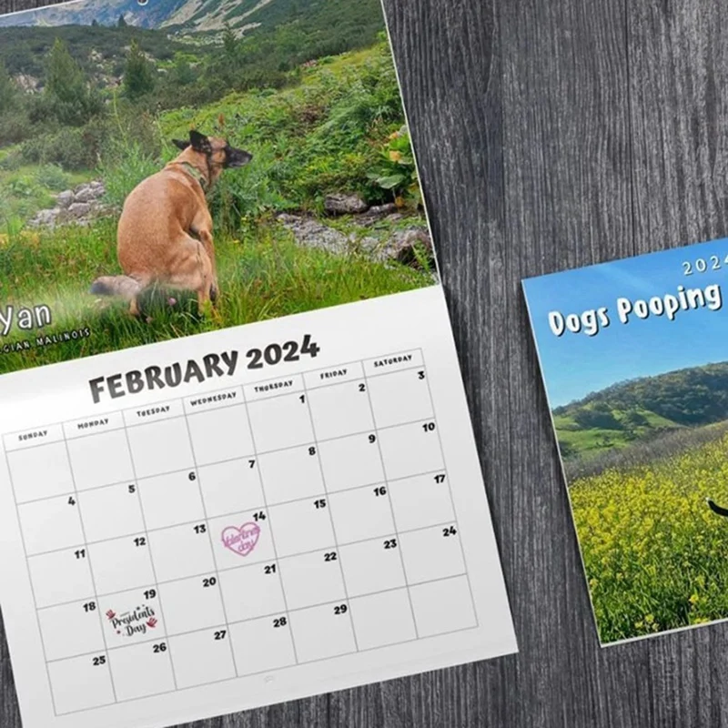 Dog Pooping In Beautiful Places 2024 Calendar (Pre-Order) - Funny Wall Art Christmas Holiday Gag Gift Prank Item facile da usare