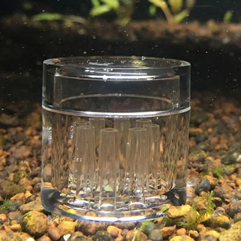 Acrylic Planaria Trap Leeches Catcher 8 Holes Clear Can for Dwarf Shrimp for Tan