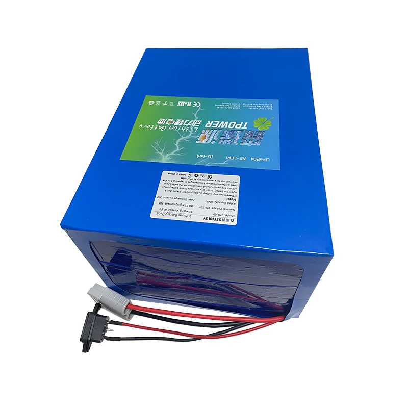 SEENRUY LTO 60V 30Ah 40Ah Lithium Titanate Battery Pack 2.4v LTO 25S with BMS for Motorcycel AVG EV Mail Truck