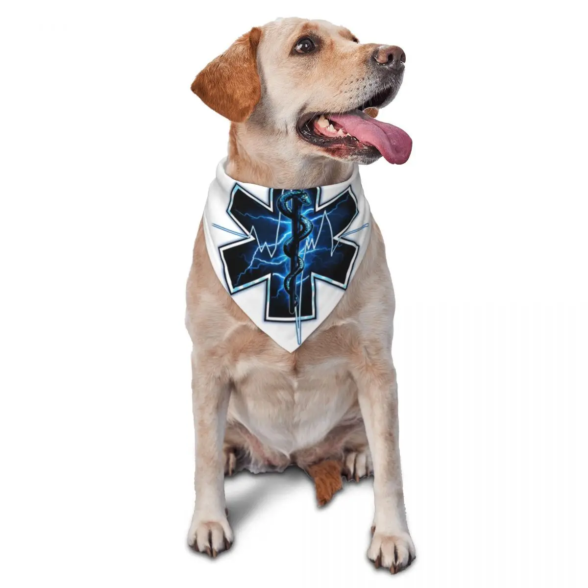 Star Of Life Ambula… - image