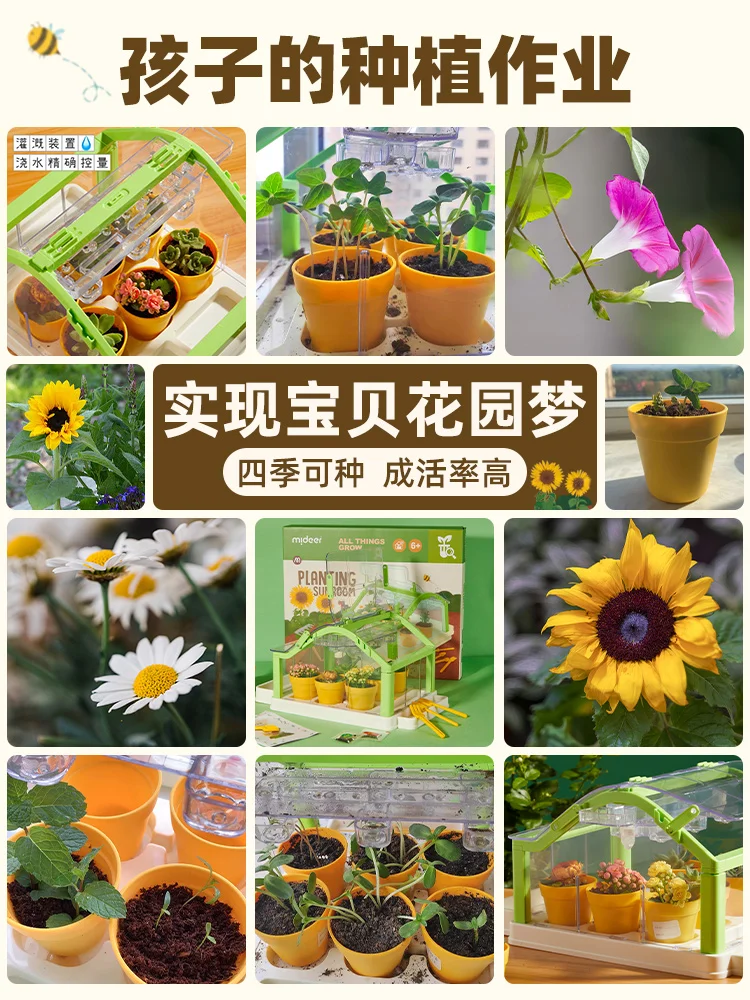 Sunshine Room Planting Flower House Children's Toys Handmade Observation Box International Children's Day Gift