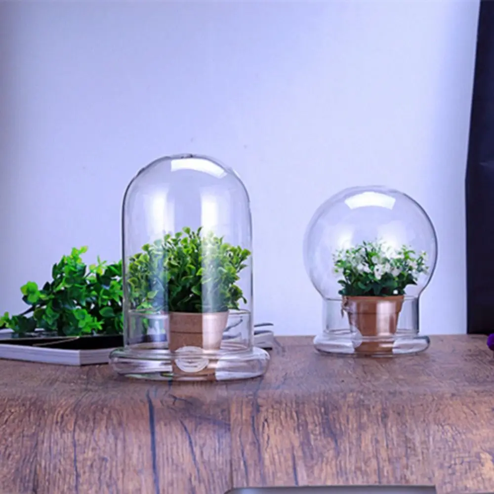 Fresh-keeping Micro Landscape Bottle Dust-proof Heat Resistant Cylindrical Plant Vase Odorless Transparent Glass Cover Office