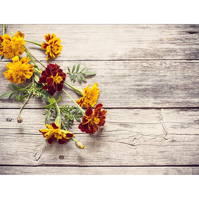 Fondos de fotografía de boda, telón de fondo de pared de flores rosas, decoración de cumpleaños, MGQ-02 fotográfico