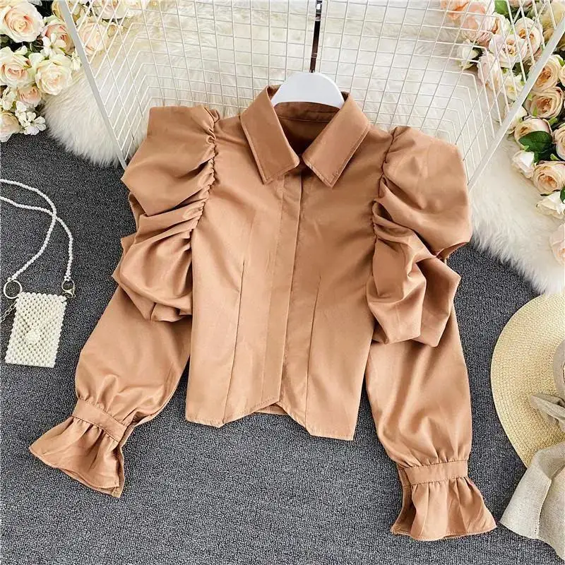 

Bubble sleeve blouse female 2024 spring and autumn new temperament fashion elegant retro lapel short shirt tide.