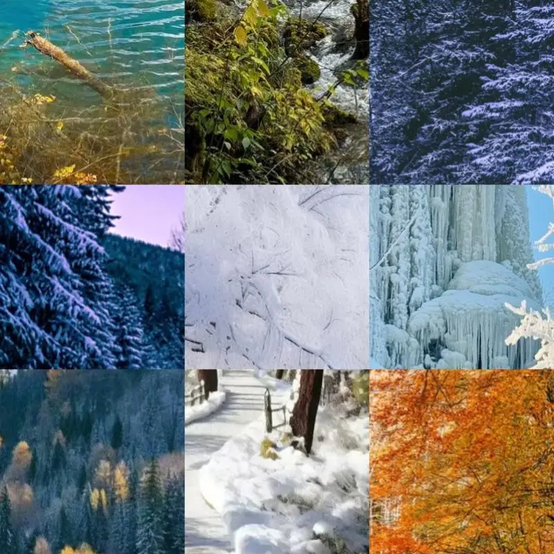 

BT 6.0 Adapter USB BT 6.0 Dongle Plug and Play Wireless BT Transmitter Receiver for PC Speaker Wireless Mouse Keyboard