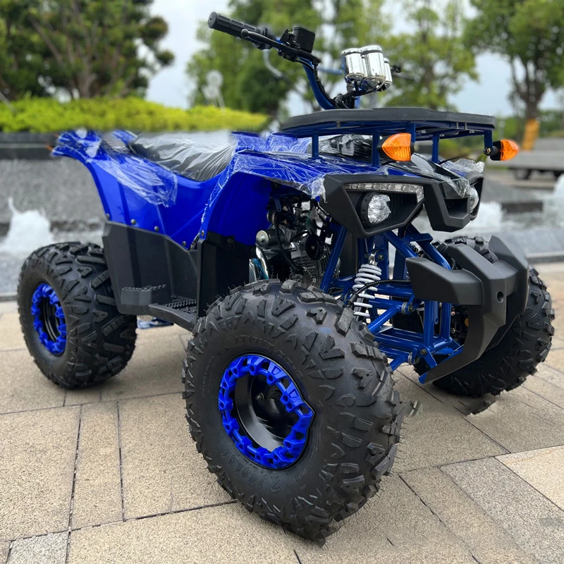 2024 New Cheap Electric ATV   Adult  Automatic Chain Drive ATV s