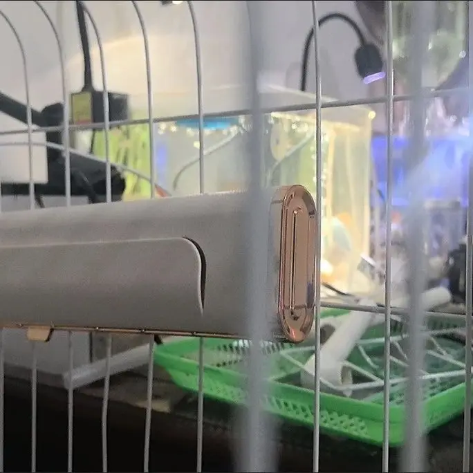 Cat and Dog Cage Fan Summer Cooling Supplies Dog Cage Ventilation Heat Dissipation Fan Deodorizing Toy Three-dimensional view 6