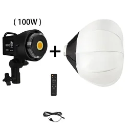 100 W Fotografie LED Video Licht Tageslicht-Ausgeglichenene Sonnenlampe für Porträt Flash Studio Zubehör Youtube Live