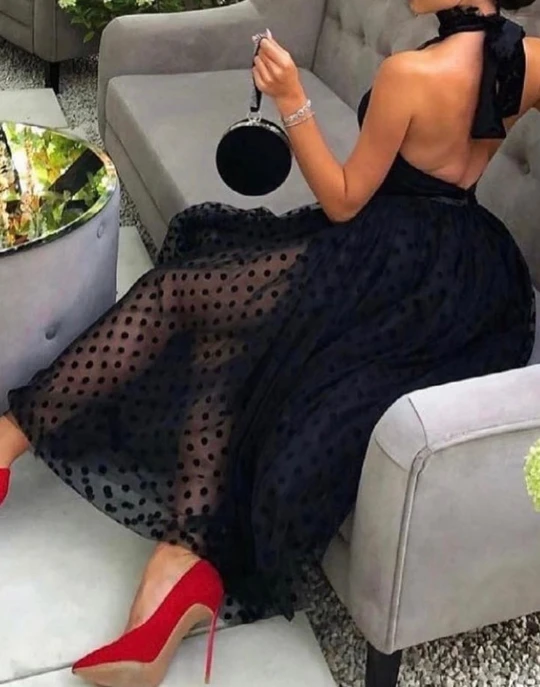 Women's Dress Elegant Commuting Party Dress Solid Mesh Polka Dot Halter Tie Details Backless High Waisted A-line Maxi Dress