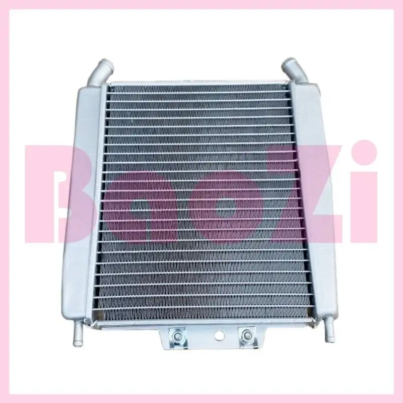 

Радиатор резервуара для воды в сборе для Piaggio Byq250t X7