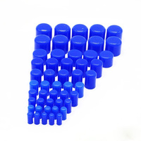 5PC 4mm/6mm/8mm /10mm12mm16mm/19mm /25mm/30mm/32mmSilicone Blanking Cap Intake Vacuum Hose End Bung Auto Car Accessories Parts