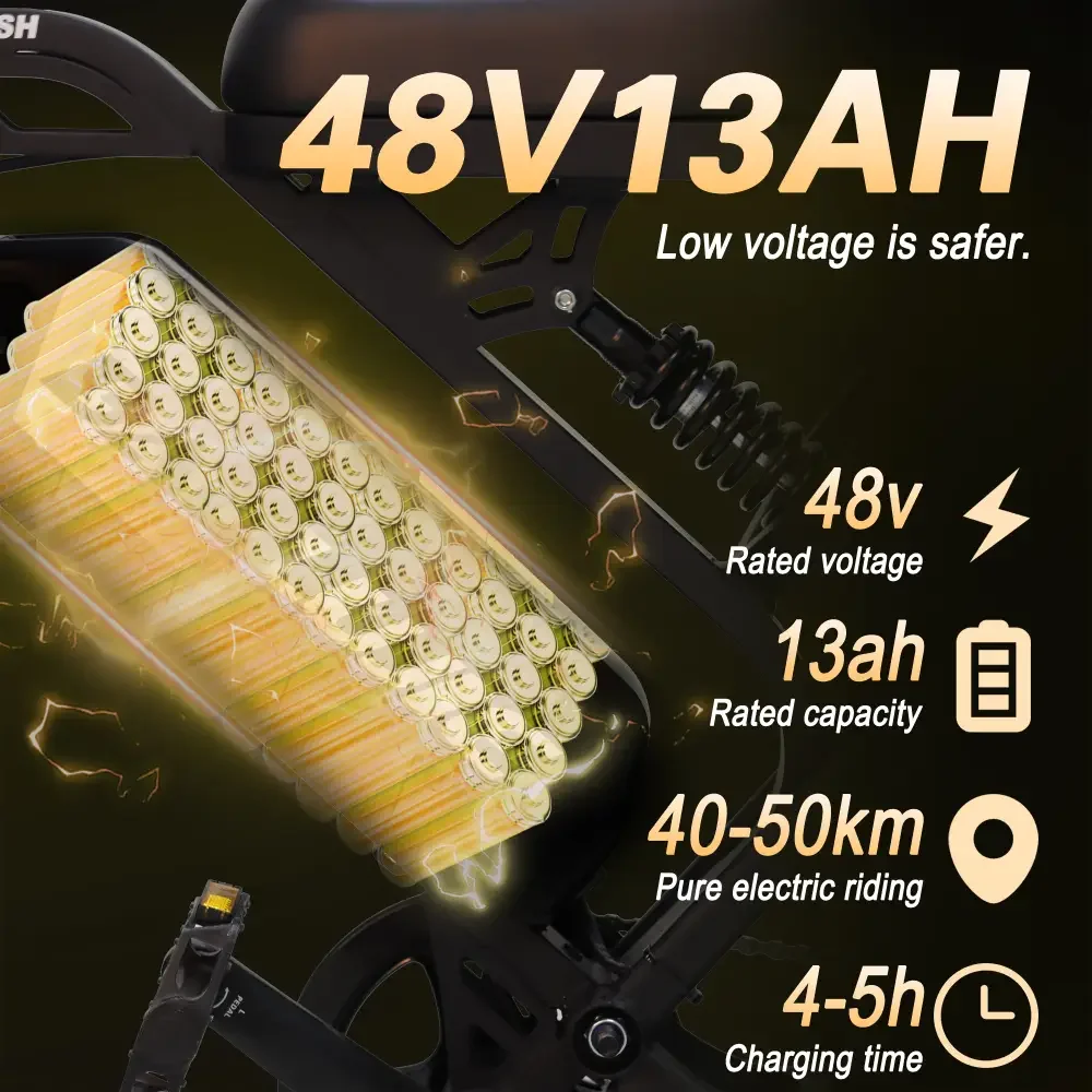 【ضمان لمدة سنة】دراجة كهربائية للبالغين BAOLUJIE F2 بقدرة 500 وات بمحرك 48 فولت 13AH 16 بوصة إطارات دراجة كهربائية دراجة جبلية #4