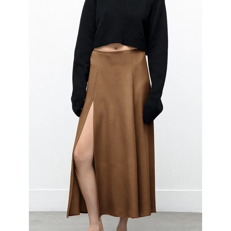 2024 Spring Vintage Brown Skirt Female Maillard Texture Slimming Imitation Acetate Satin A- line Umbrella Skirt Women's Clothing