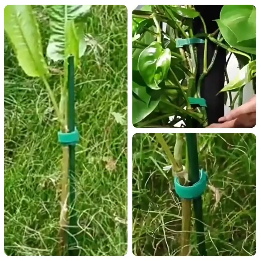 100pcs Reusable Adjustable Non-Slip Nylon Plant Ties with Hook and Loop Fasteners, Ideal for Gardening Applications