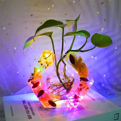 DIY Hydroponic Flower Stand Epoxy Resin Mold Vase Holder Cultivated Water Plants Hydroponic Stand Silicone Mould Home Decoration