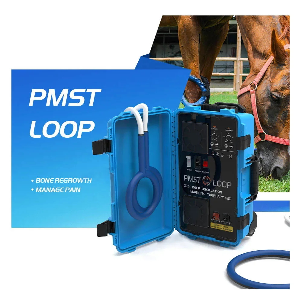 Pulsed Electromagnetic Field  Magneto Therapy magna wave equine magnetic Equipment For Horses/Livestock/Pets