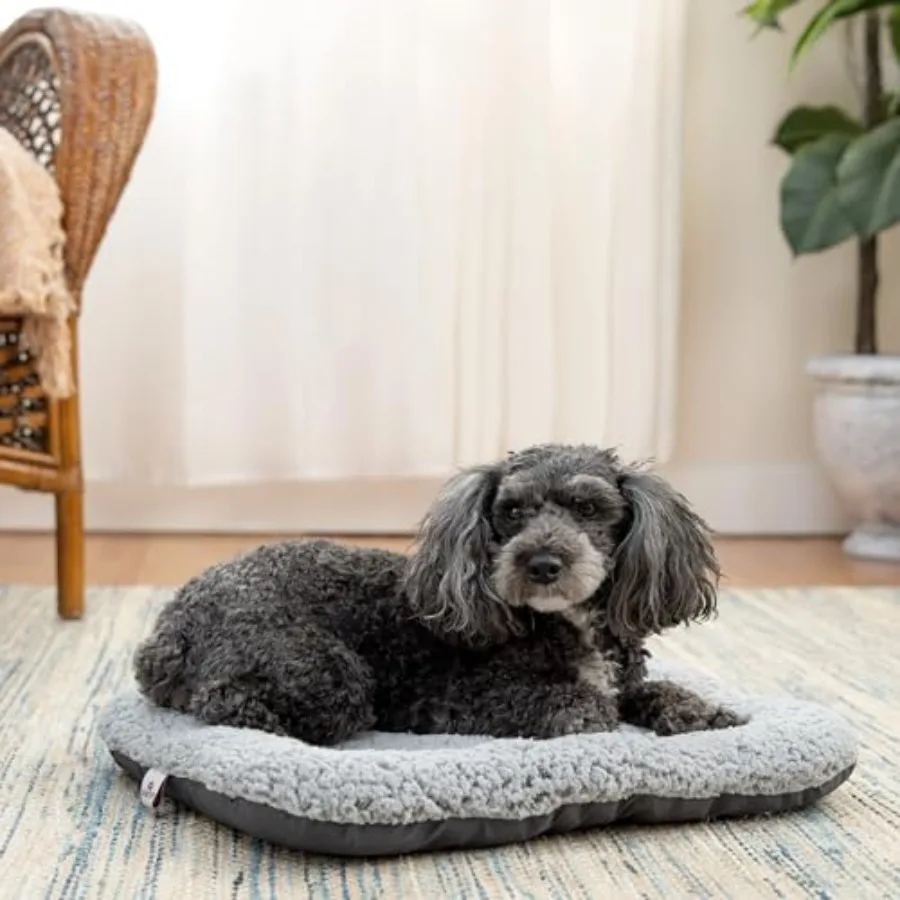 حامل قطط للسفر قابل للطي مع تصميم للباب الأمامي لسهولة الوصول والراحة - حامل خفيف الوزن قابل للطي مع مقاوم للماء