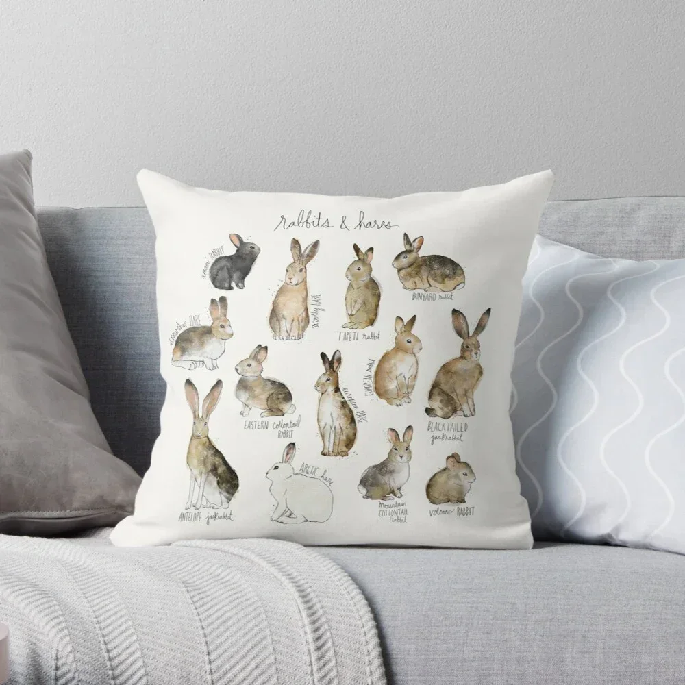 House Decorative Home Pillowcase for sofa Cushion Cover 45*45 Nordic 40*40cm Morandi 40x40cm 50x50 Living Room abstract 60x60