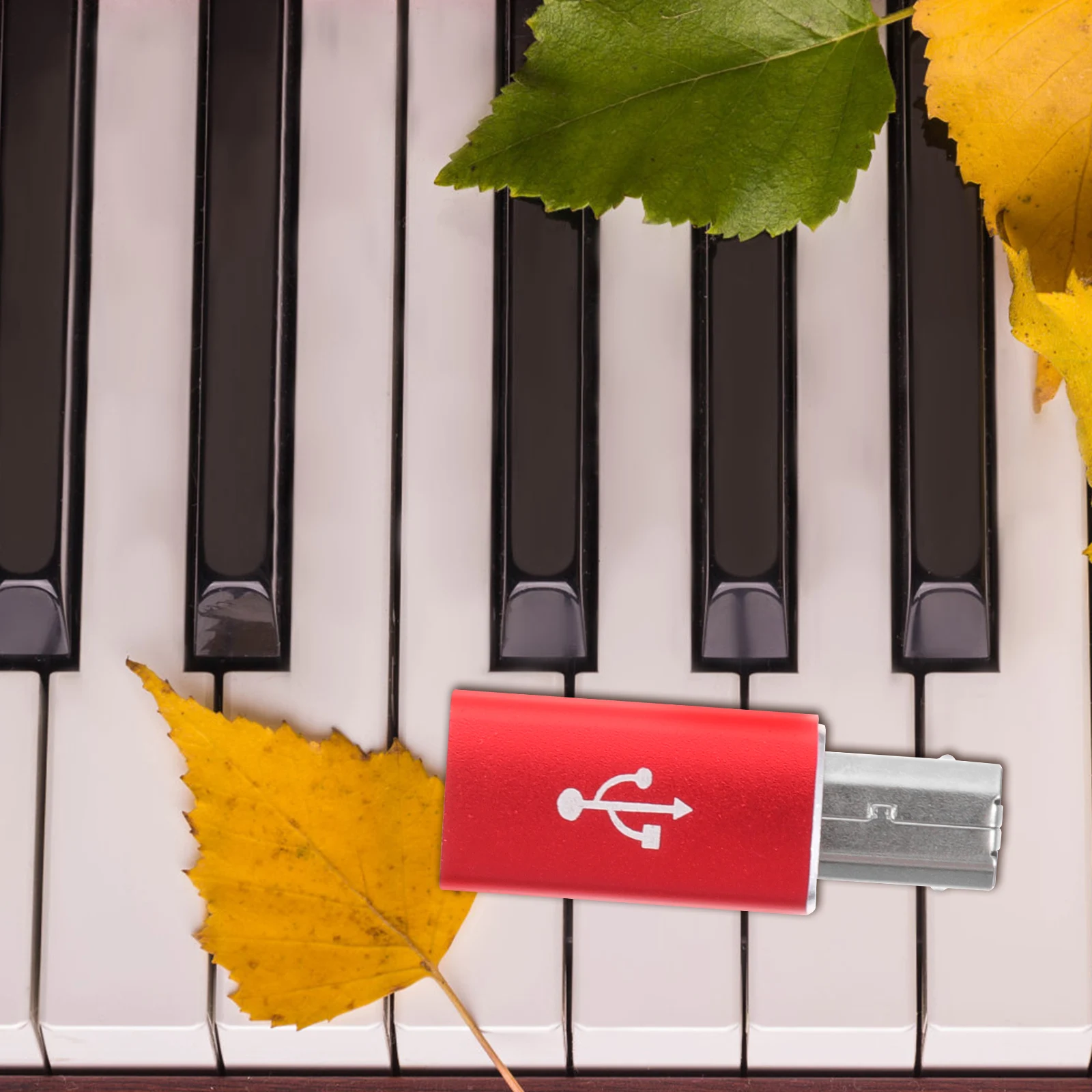 

Type-C To Usb Adapter Female To Female For Electronic Piano Drum Mixer Guitar Laptop Printers Audio Conversion Connector