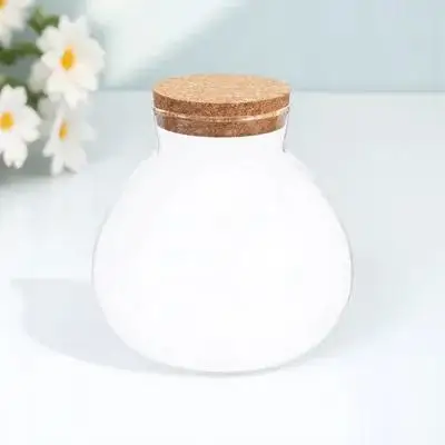 لتقوم بها بنفسك الزجاج زجاجة بيئية مستديرة 15x16 سنتيمتر شفافة المشهد الصغير تررم زجاجة نبات الطحلب ديكور المنزل #6