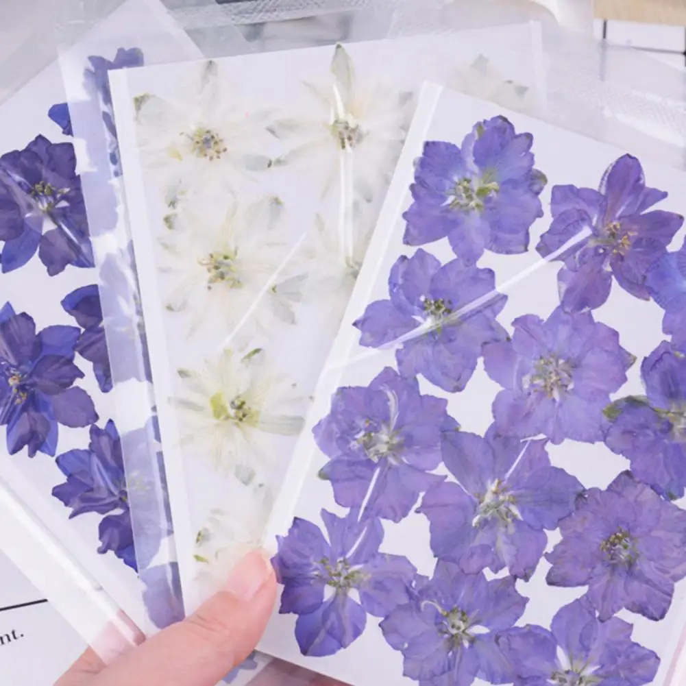 12Pcs Dried Flowers Epoxy Resin DIY Creation Dried Pressed Flowers DIY Jewelry Mobile Phone Shell Flower Sticker Nail Art