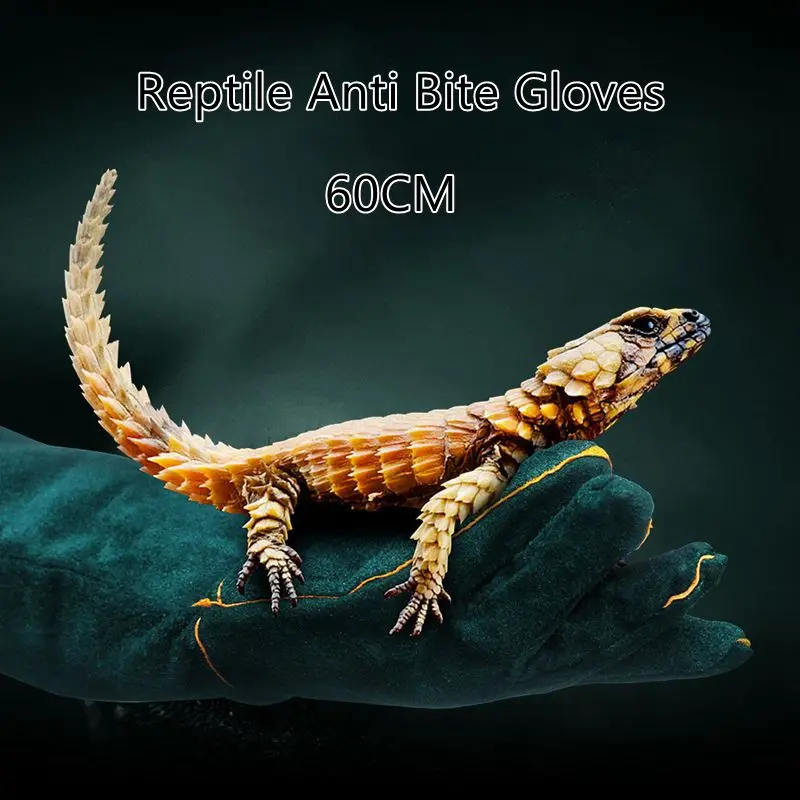 

Reptile Anti Bite Gloves 60cm Lizard Snake Anti-Bite Grab Leather Gloves Thicken Pet Protective Glove Pet Supplies