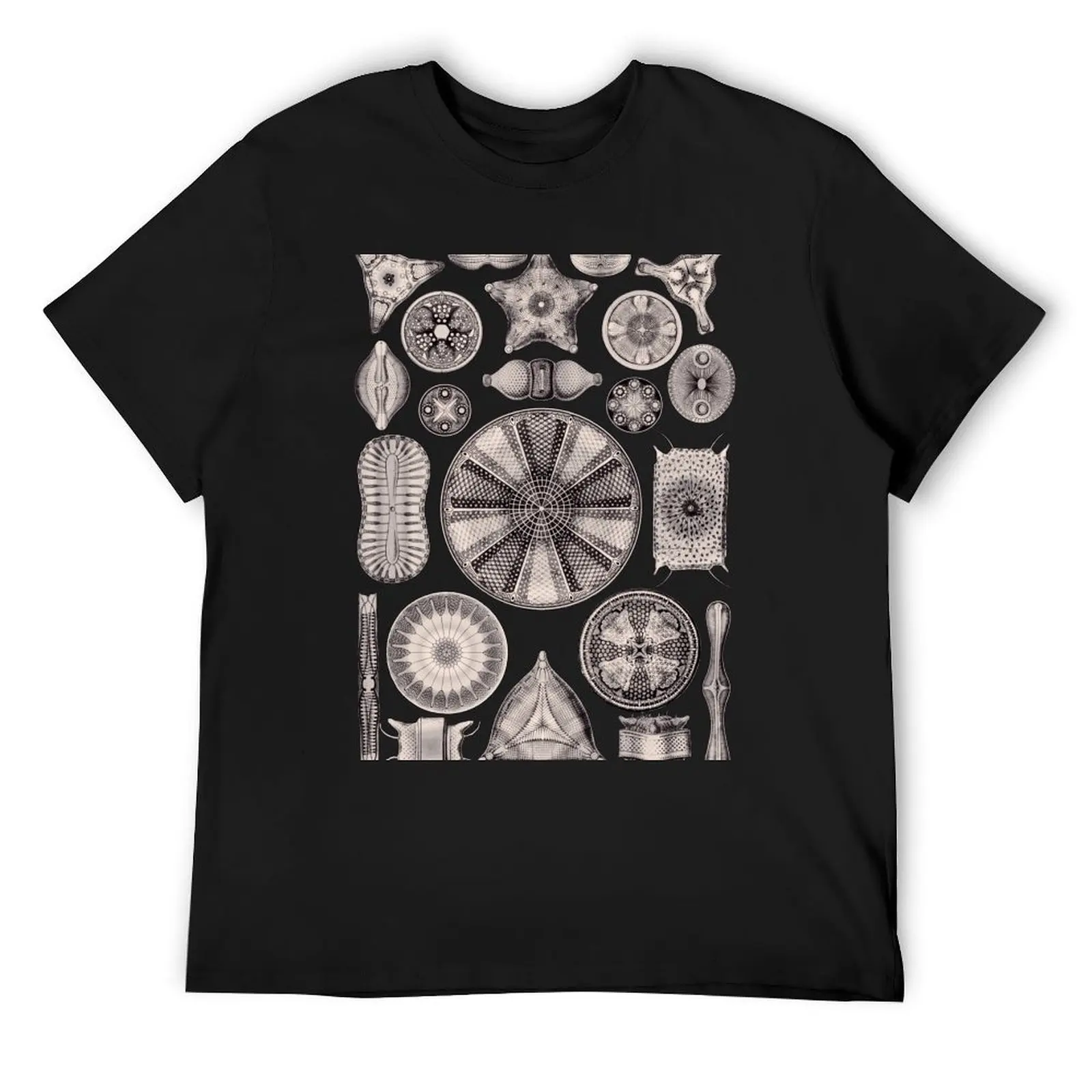 

Ernst Haeckel Diatoms Lavender Grey T-Shirt anime tshirt boys whites T-shirts for men cotton