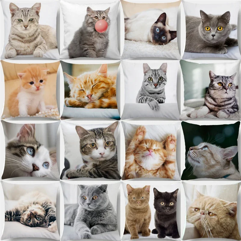 

Cute Pet Cat Pillowcase Sleeping Bubble Black Kids Gift Cushion Cover Sofa Living Room Home Decor Custom