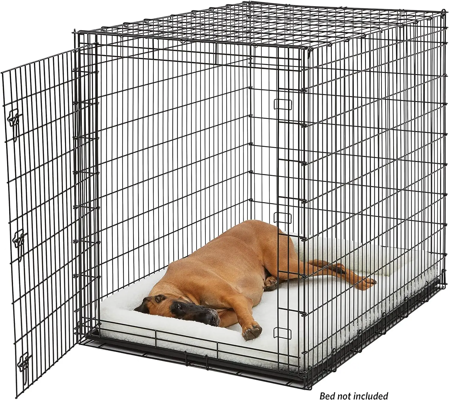 Midwest Homes for Pets Ginorme Single Door Cate, 54 in Dog Crate, média Dogs Breeds, Great Dane, Mastiff, St. Bernard