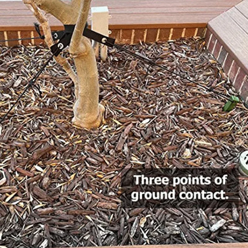 나무 끈이 달린 그루터기 키트, 튼튼한 로프, 튼튼하고 안전한 소재, 직선에서 건강한 성장을 보장