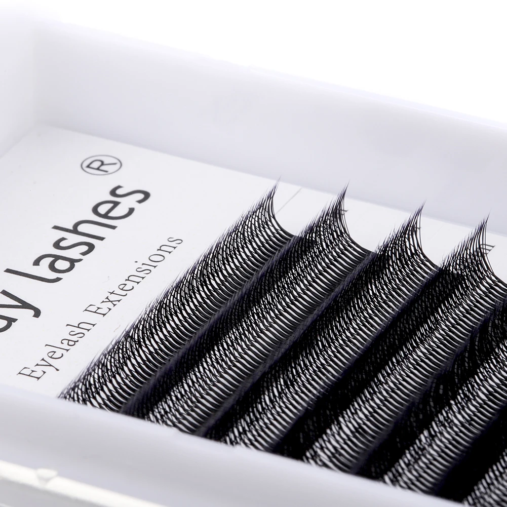 Wendy Lashes 8D/6D/5DW Shape EyeLashes 12 Rows 0.07 Curl C/D High Quality Fake Eyelash Supplies Natural And Soft