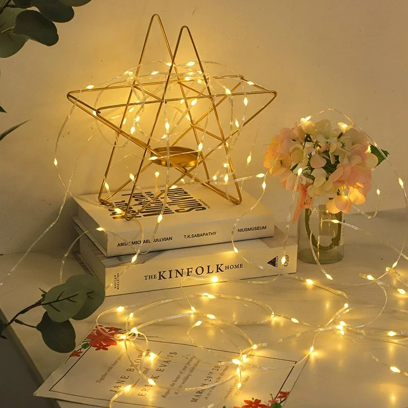Garland 100 Meters LED Festoon Fairy String Light Christmas Lights Length 30/50M EU Plug Operated Come with 24V Transformer