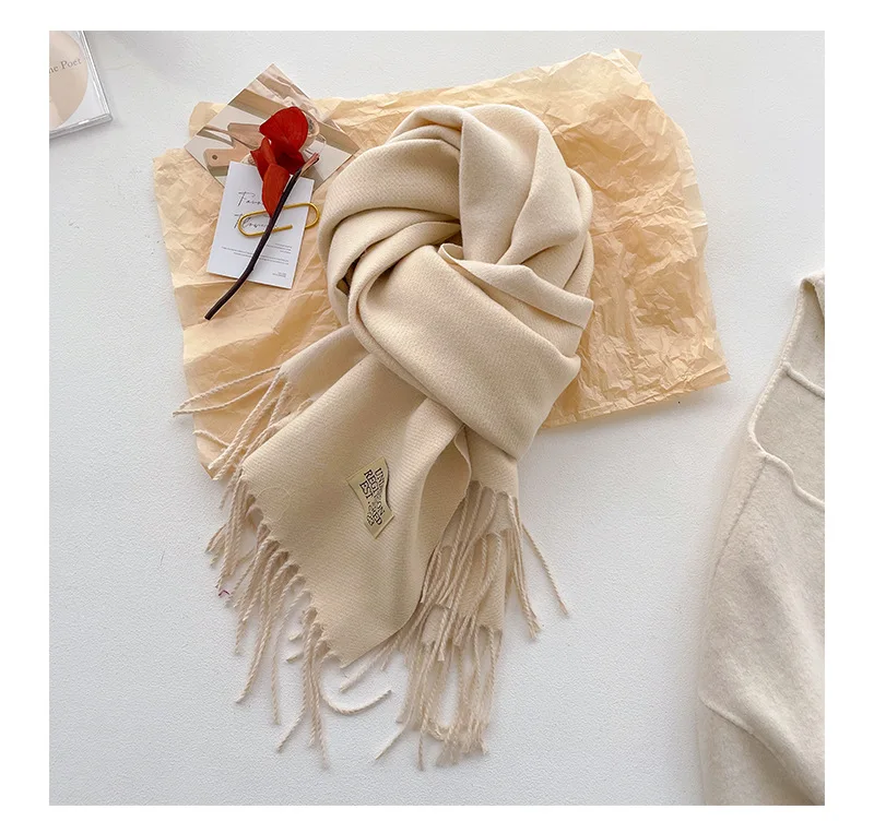 Mode solide Kaschmir warmen Schal neues Design Pashmina Winter Doppelseite verschiedene Farbe Schal Wraps Bufanda mit Quaste Decke – Detail 16